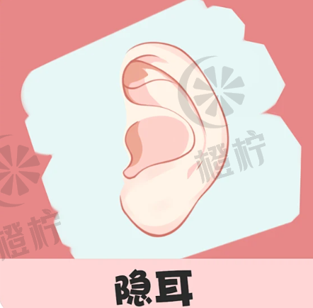 中国医学科学院口腔外科医院非常新耳朵手术技术介绍，蒋海越医生专业技术值得信赖