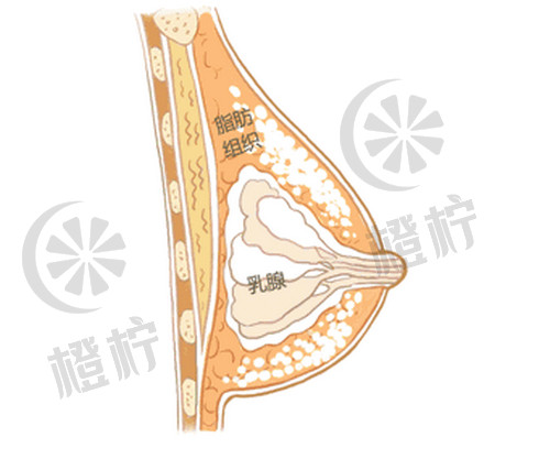 昆明惟美整形医院：手术价格、医院介绍全面解析，非常新权威资讯！